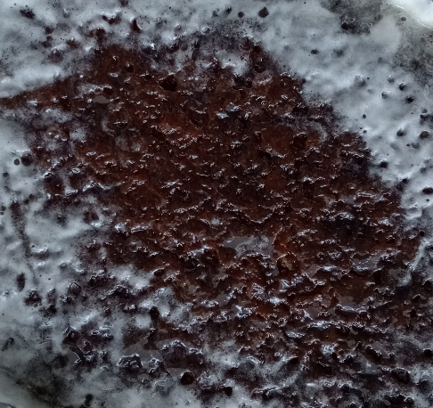 Traditional Malva Pudding