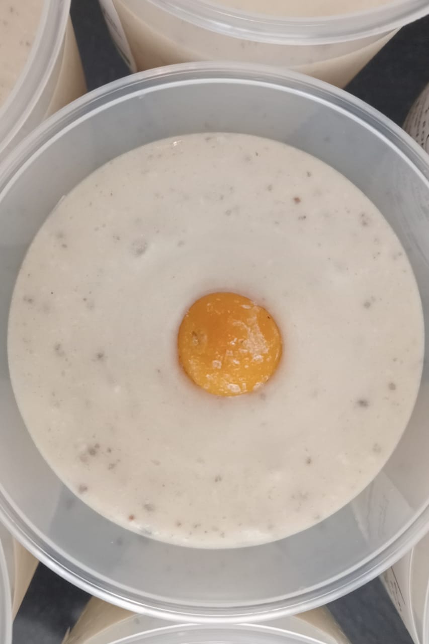 Smoothies - Week 2