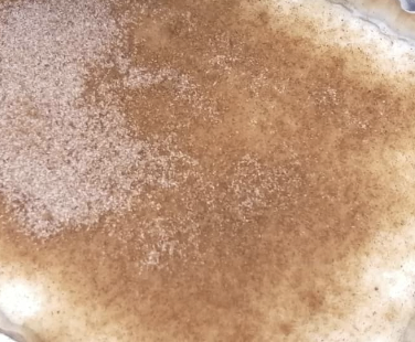 Frummel Melkkos with Cinnamon Sugar - Week 3